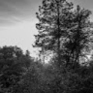 Meet your Posher, Cera